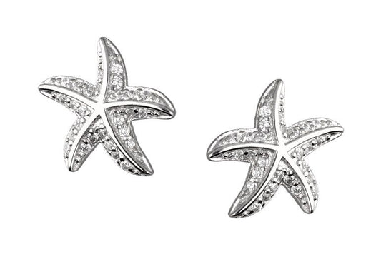 Silver Earrings Star