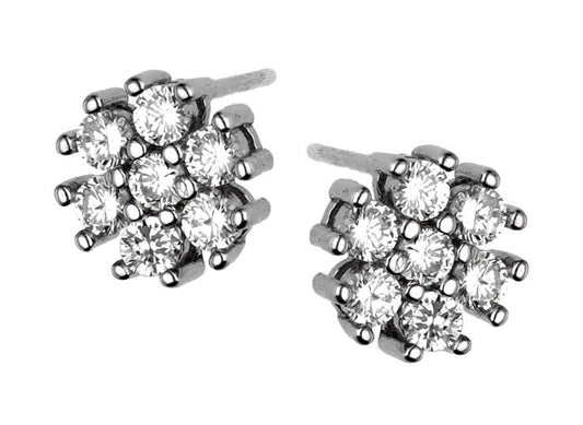 Silver Earrings Dne047 