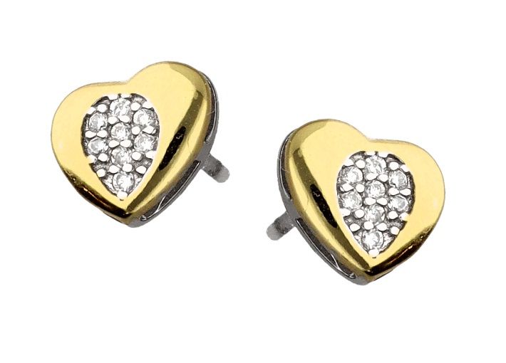 Silver Earrings Ae2546 Heart