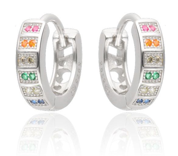 Silver Earrings Multicolor