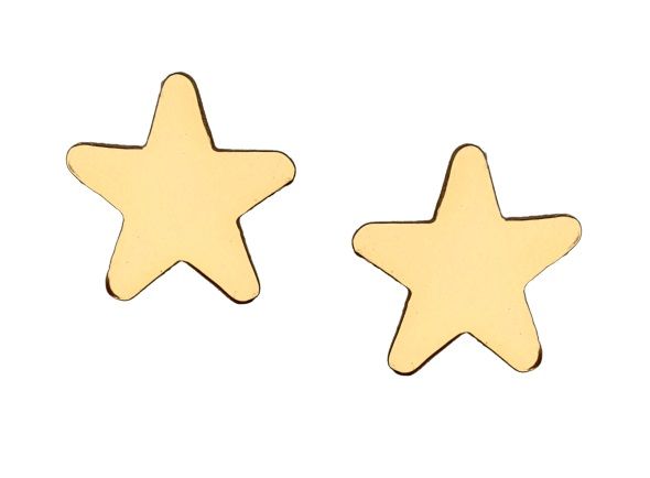 Silver Earrings Star