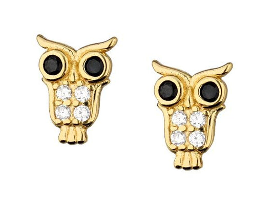 Silver Earrings Eye Black Owl