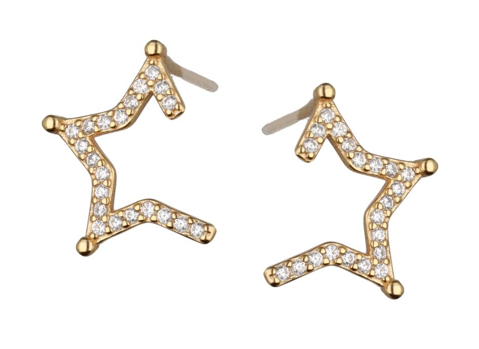 Silver Earrings Gold Plated Star