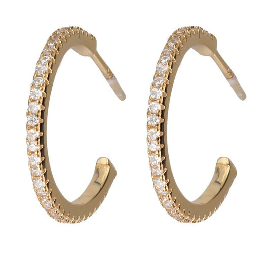 Silver Earrings Gold Plated