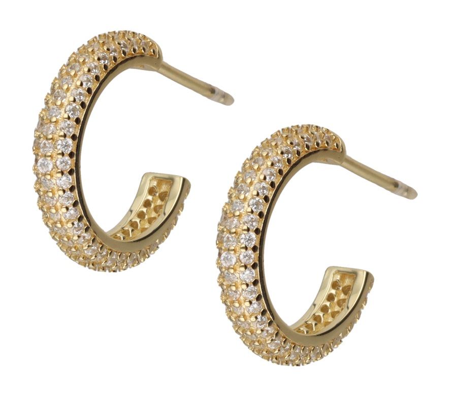 Silver Earrings Gold Plated