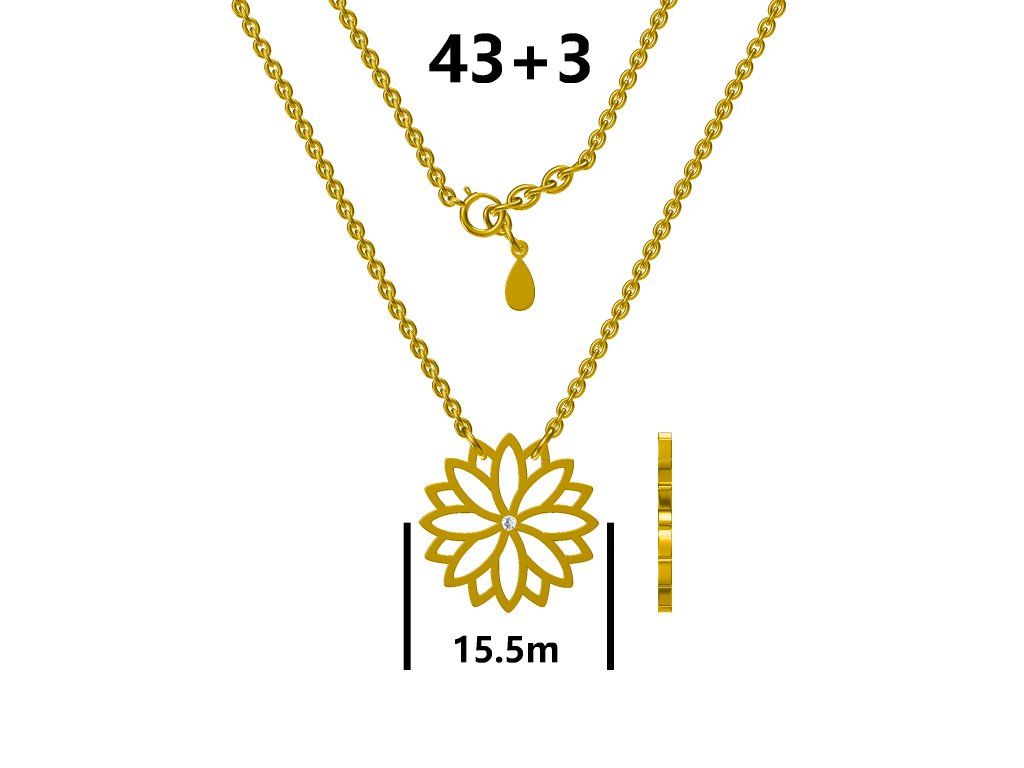 Silver Necklace Gold Plated 43+3